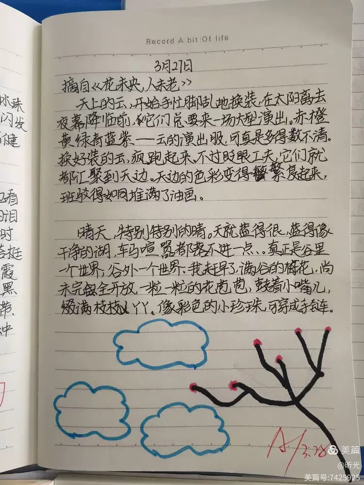 美文摘抄（一）